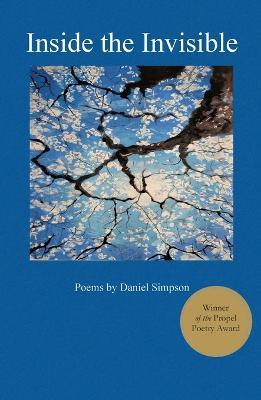 Inside the Invisible - Daniel Simpson - cover
