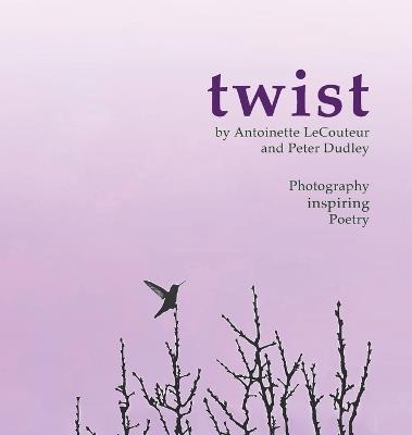 twist - Peter J Dudley - cover