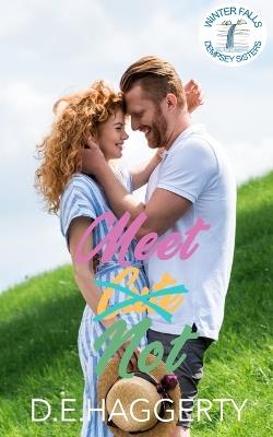 Meet Not: a friends to lovers small town romantic comedy - D E Haggerty - cover