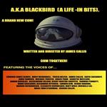 A.K.A Blackbird (A Life- in bits.)