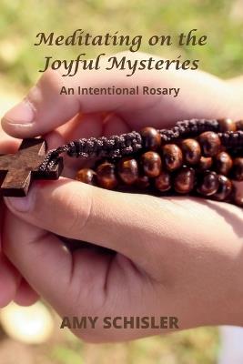 Meditating on the Joyful Mysteries - Amy Schisler - cover