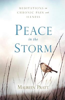 Peace in the Storm: Meditations on Chronic Pain and Illness - Maureen Pratt - cover