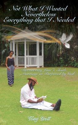 Not What I Thought I Wanted Nevertheless Everything I Needed - Tony Scott - cover