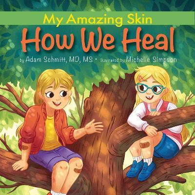 How We Heal - Adam Schmitt - cover