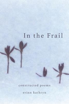 In The Frail - Erinn Kathryn - cover