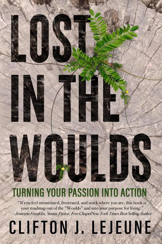 Lost in the Woulds - Clifton LeJeune - ebook