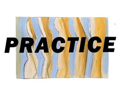 Practice - Gary Llama - cover