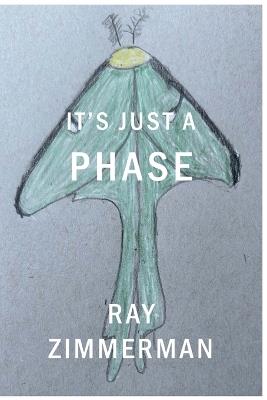 It's Just A Phase - Ray Zimmerman - cover
