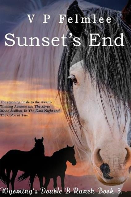 Sunset's End - VICKI FELMLEE - ebook