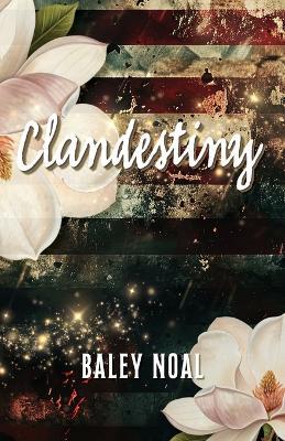 Clandestiny: Two broken paths. A chance meeting when they needed it the most. A love guided by destiny. - Baley Noal - cover