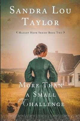 More Than a Small Challenge - Sandra Lou Taylor - cover