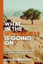 What In The Wilderness Is Going On?: A Guide To Find Your Way Out Of The Wilderness And Into Your Promise