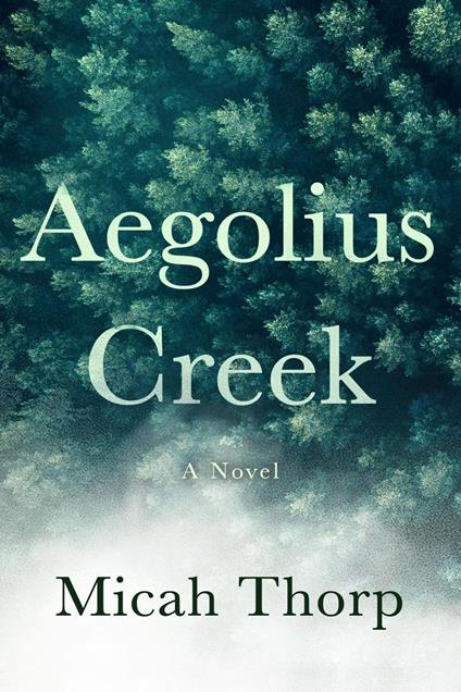 Aegolius Creek