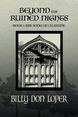 Beyond the Ruined Nights - Billy D Loper - cover