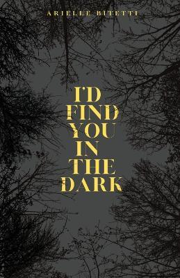 I'd Find You In The Dark: Spicy MM Romance/Thriller - Bitetti - cover
