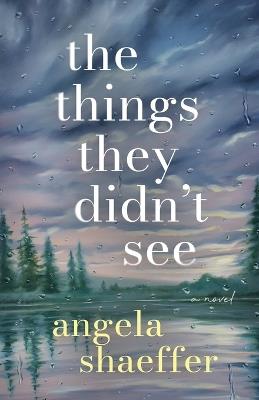 The Things They Didn't See - Angela Shaeffer - cover
