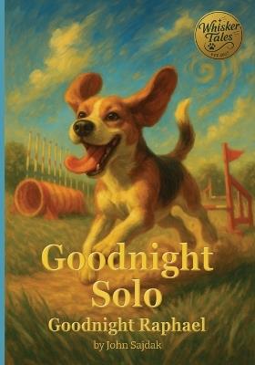 Goodnight Solo / Goodnight Raphael - John Sajdak - cover