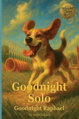 Goodnight Solo / Goodnight Raphael - John Sajdak - cover