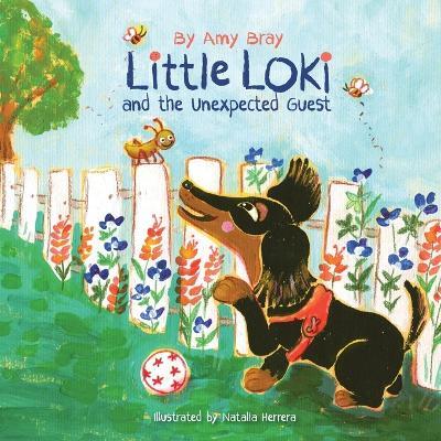 Little Loki and the Unexpected Guest - Amy Bray - cover