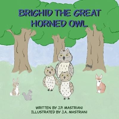 Brighid the Great Horned Owl - cover
