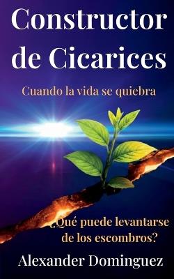 Constructor de Cicatrices - Alexander Dominguez,Linnet Saavedra - cover