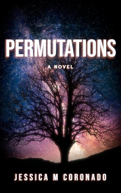Permutations a novel