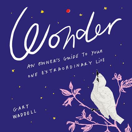 Wonder