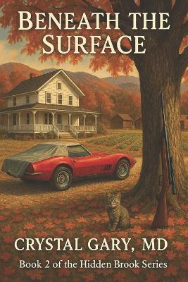Beneath the Surface: Book 2 Hidden Brook LARGE PRINT - Crystal Gary - cover