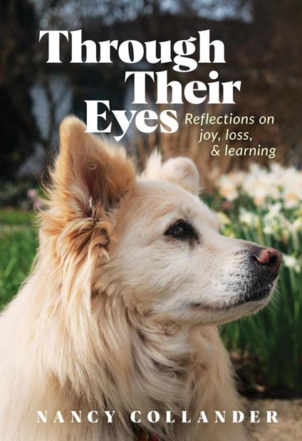 Through Their Eyes: Reflections on joy, loss, and learning
