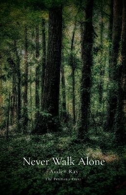 Never Walk Alone - Auden Ray - cover