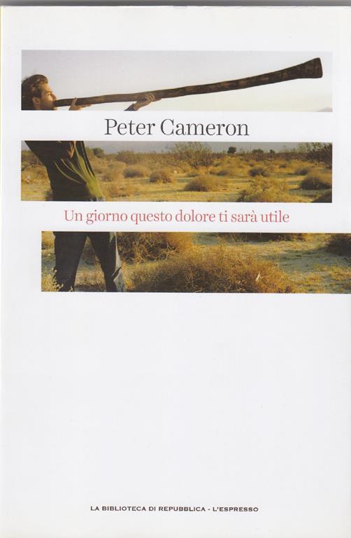 Un giorno questo dolore ti sarà utile Peter Cameron Libro Usato