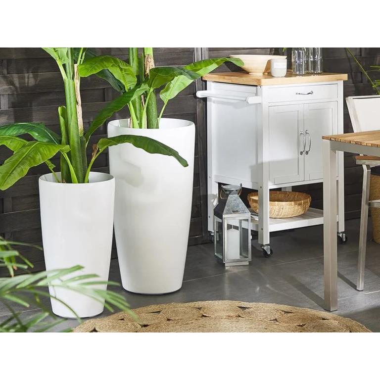 Set di 2 vasi di fiori bianchi TSERIA - Beliani - Casa e ...