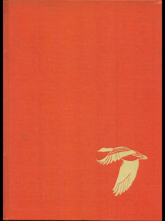 Gli Uccelli E I Loro Nidi Il Ciclo Della Riproduzione Alberto Masi Libro Usato Editoriale Olimpia Ibs