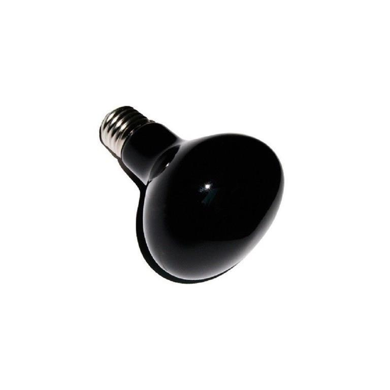 Lampade Uvb Per Tartarughe Di Terra