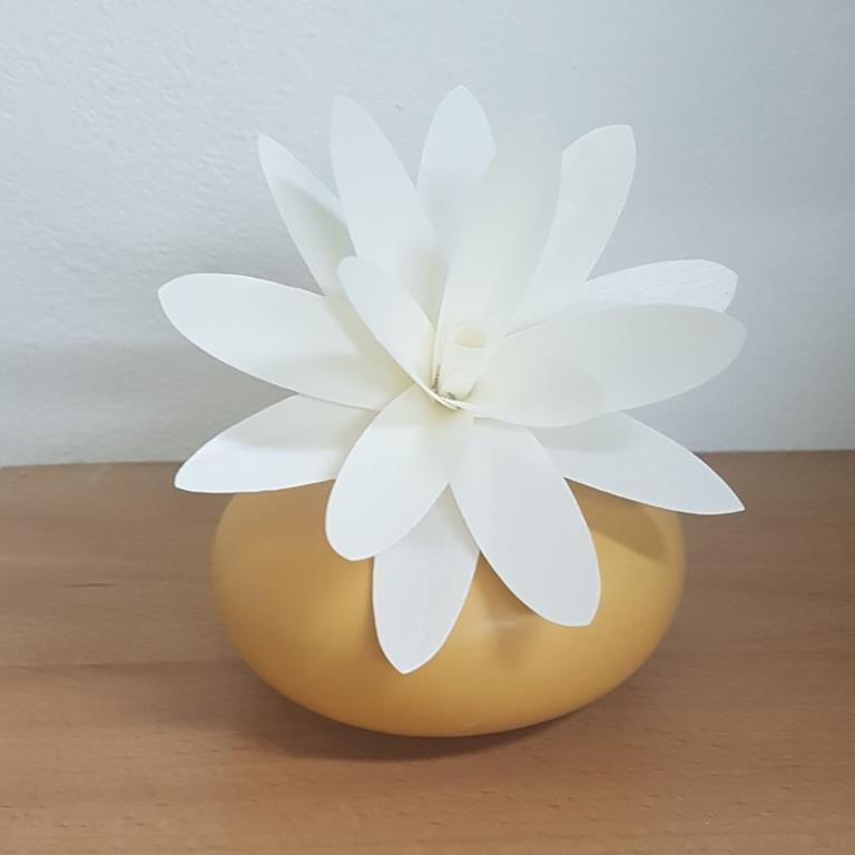 profumo ambienti fiori di loto profumo ambienti fiori di loto