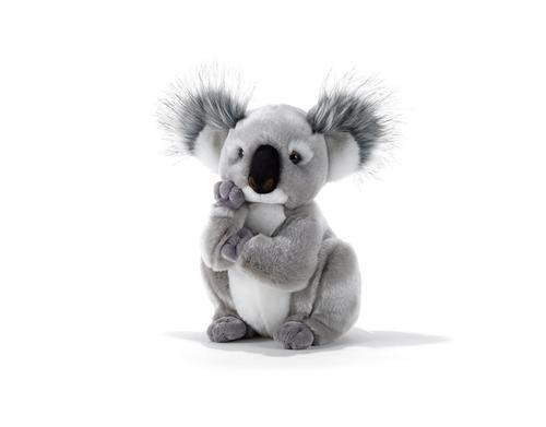 peluche koala