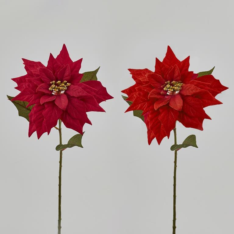 Stella Di Natale Addobbi